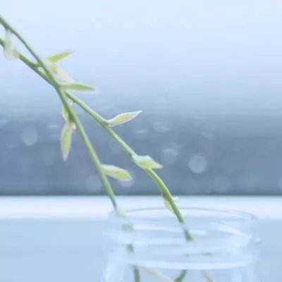奇迹战神内购破解版下载